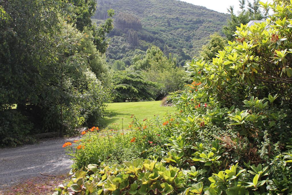 Leithview B And B Bed and Breakfast Dunedin Buitenkant foto