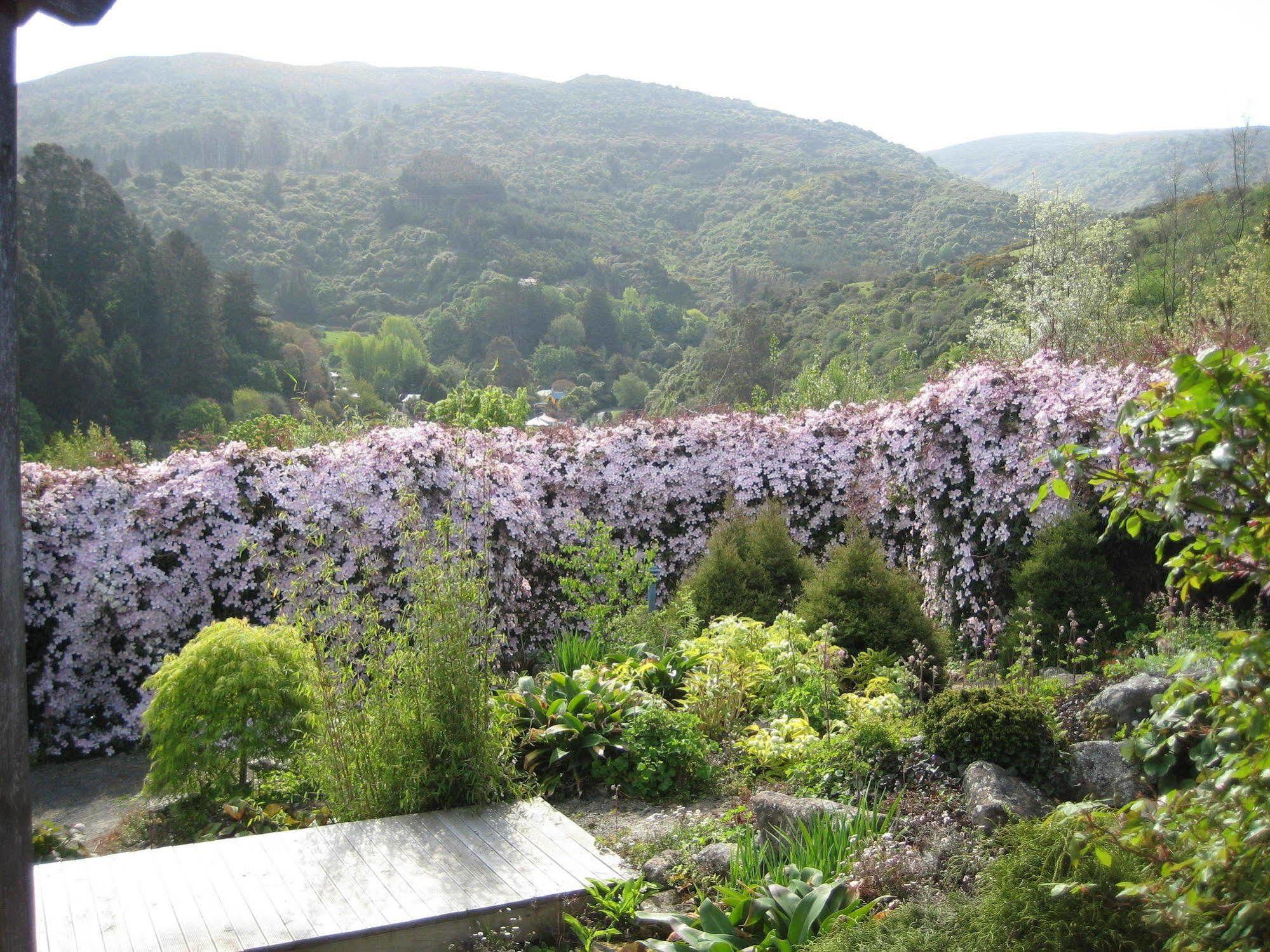 Leithview B And B Bed and Breakfast Dunedin Buitenkant foto