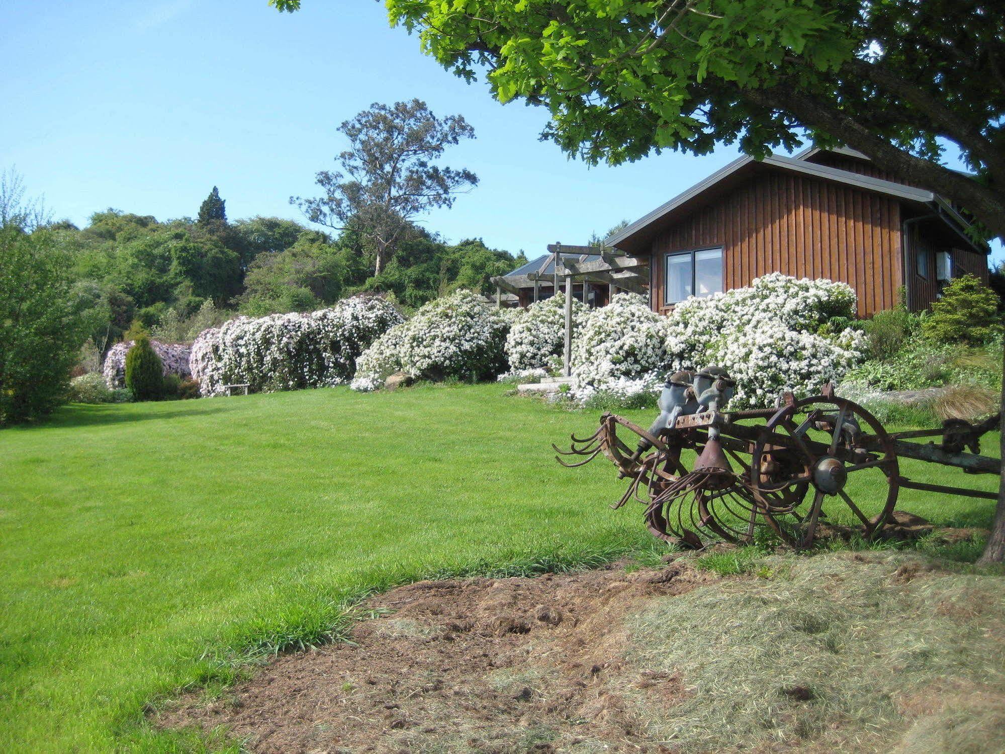 Leithview B And B Bed and Breakfast Dunedin Buitenkant foto